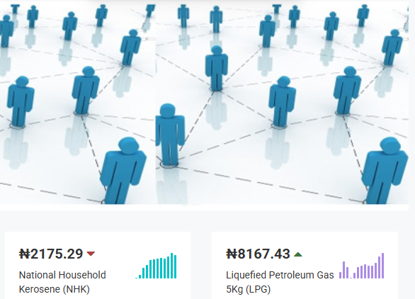 Top 10 Career Paths in Nigeria After University In 2025