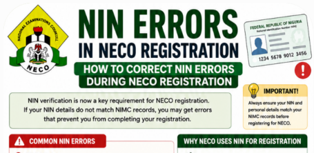 Understanding NIN Errors During NECO Registration